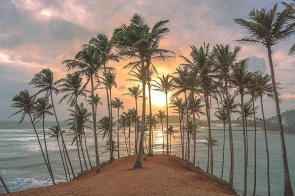 South Coast Beach Escape – Sri Lanka tour