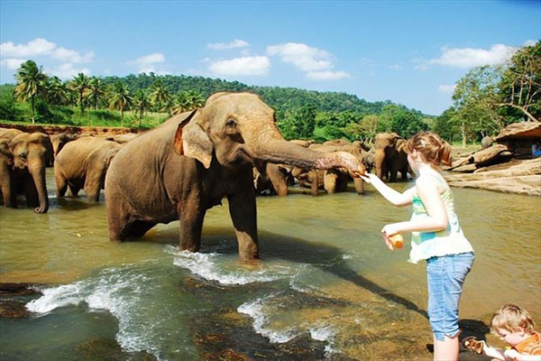 Family Fun Sri Lanka – Sri Lanka tour